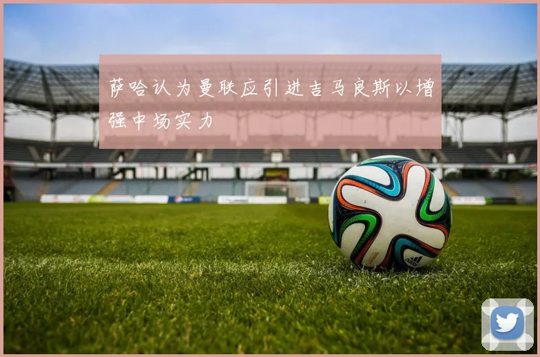 萨哈认为曼联应引进吉马良斯以增强中场实力